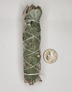 White Sage with Eucalyptus 4 inch - Rachel Virginia Collection 
